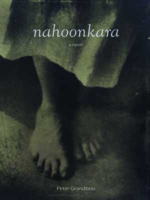 cover image of Nahoonkara